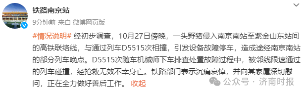 南京南站發生野豬侵線 隨車機械師處置時不幸身亡 官方通報(圖1)